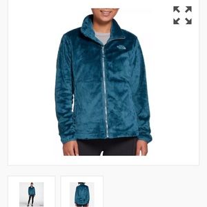 The north face teal jacket
